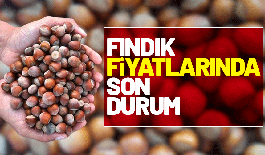 1 Şubat Cumartesi Günü Fındık Fiyatları