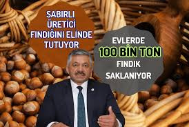 100 Bin Ton FINDIK Evlerde Saklanıyor!