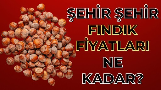 12 Şubat Fındık Fiyatları