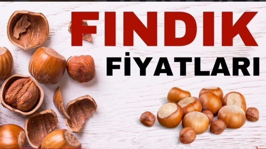 13 Kasım Çarşamba Günü Fındık Fiyatları