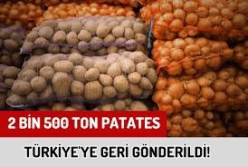 2 bin 500 Ton Patates İmha Edilecek