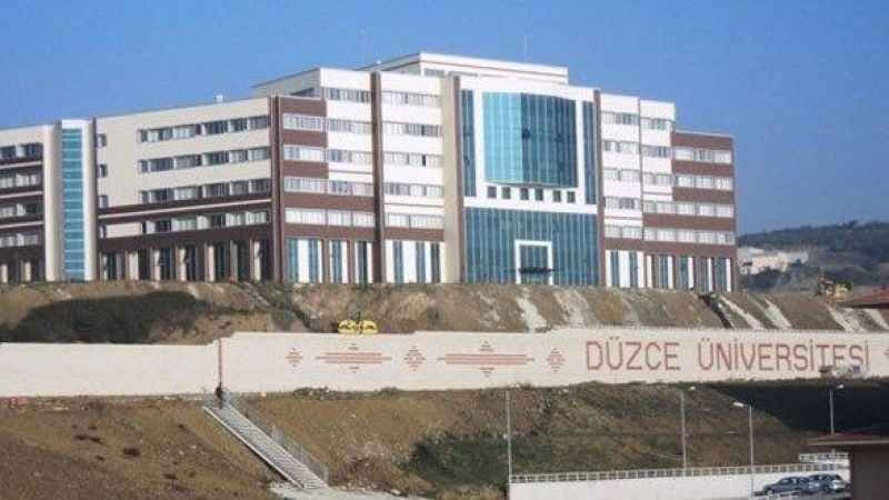 Düzce Üniversitesi Öğretim Üyesi Alacak