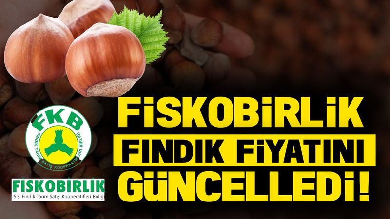 FINDIK Alım Fiyatını Bir Kez Daha Güncelledi!