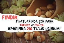 Fındık Fiyatlarında Şok Fark: Türkiye ve İtalya Arasındaki 210 TL'lik Uçurum!