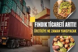 Fındık Ticareti Arttı!