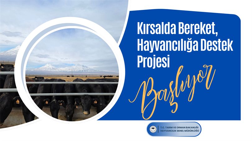 Kırsalda Bereket, Hayvancılığa Destek Projesi Kriter ve Başvuru Şartları