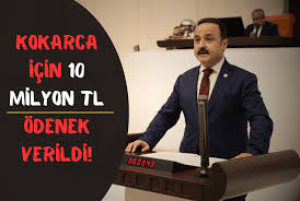 Kokarca İçin 10 Milyon TL Ödenek Verildi!