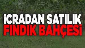 Yılğılca'da icradan satılık fındık bahçesi